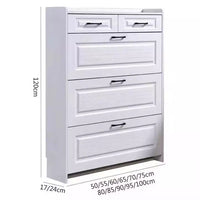 Slim Shoe Storage Cabinet