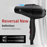 Hair Dryer (Model X6 Plus)