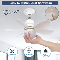 Ceiling Fan Lights