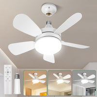 Ceiling Fan Lights