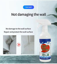 Wall Mold Removal Spray (500ml)
