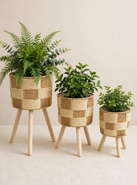 Boho Style Organizers