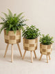 Boho Planter Set - 3 Pieces